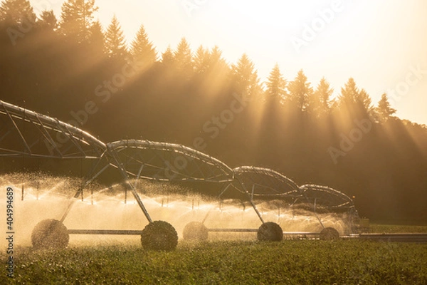 Obraz golden linear move