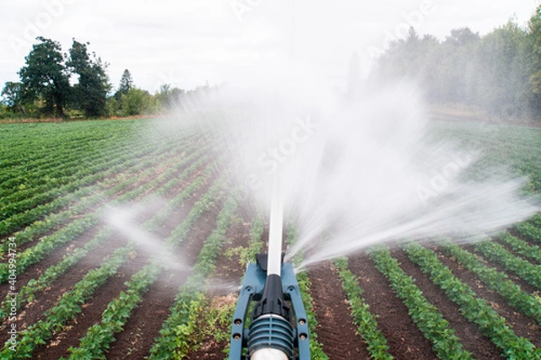 Obraz Hose reel from top