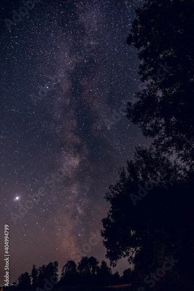 Obraz milky way in trees
