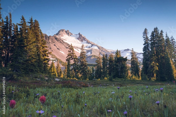 Obraz Mount Jefferson