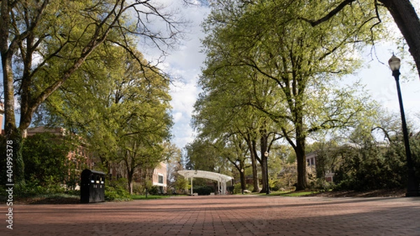 Obraz covered area Corvallis Oregon 