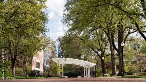 Obraz covered area Corvallis Oregon 