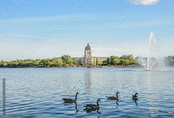 Obraz ducks on the lake. Regina. Saskatchewan