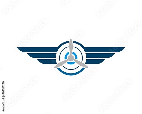 Obraz Plane propeller with luxury wings