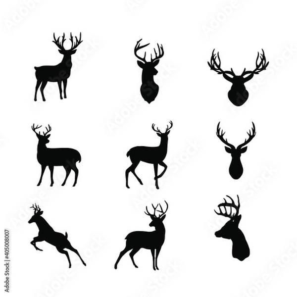 Obraz deer silhouette collection