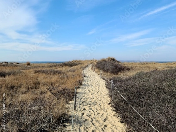 Obraz Beach path