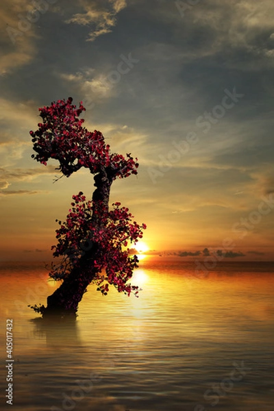 Obraz beautiful sunset on the beach