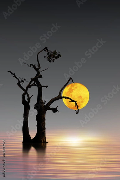 Obraz old tree in the night