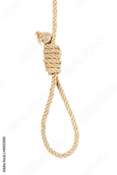Obraz noose isolated on white background