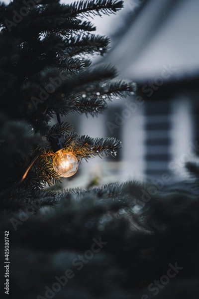 Fototapeta Glühbirne leuchtet draußen an einer nassen Tanne
