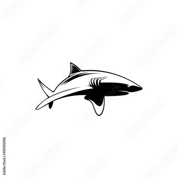Obraz shark icon logo