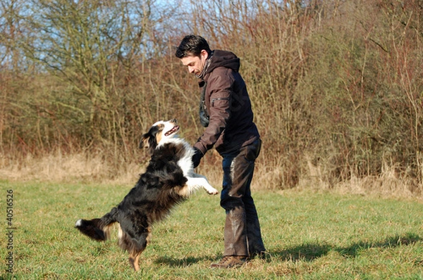 Obraz Hundetrainer