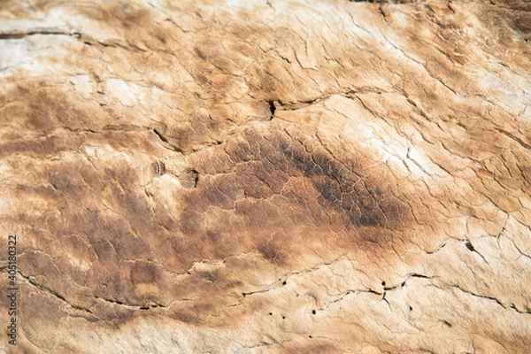 Obraz Stone from desert