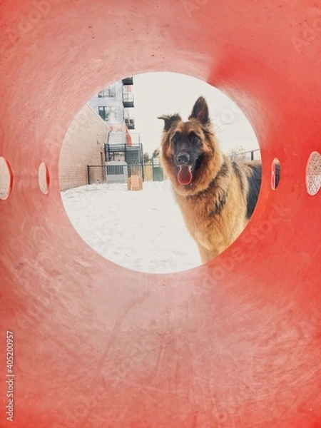 Obraz Processed with VSCO with g3 preset