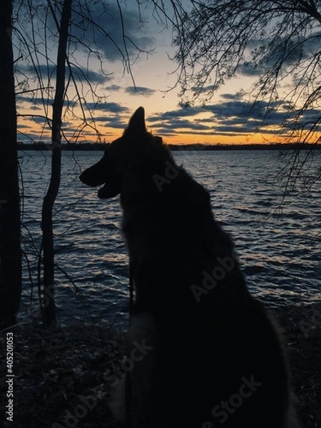 Obraz Processed with VSCO with g3 preset