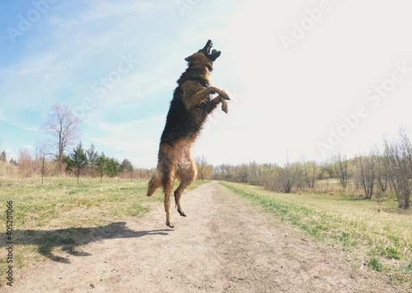 Obraz Processed with VSCO with g3 preset