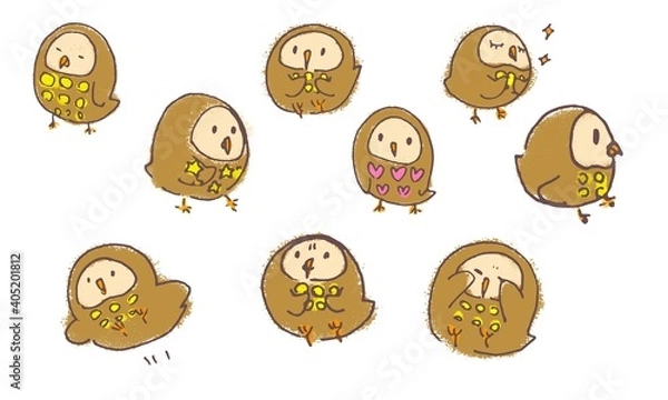 Fototapeta An owl printed circles called Earl