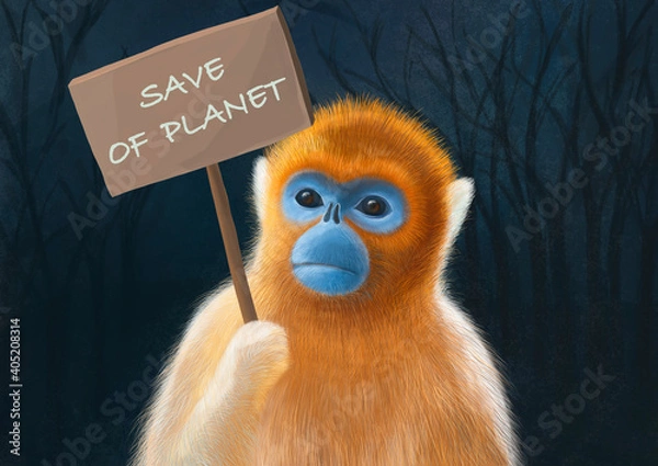 Obraz ValenGolden snub-nosed monkey asks to save the planet.