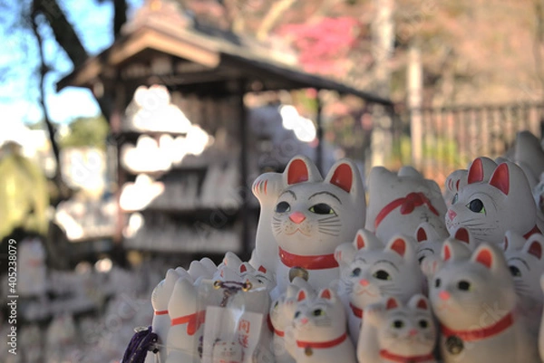 Fototapeta 招き猫