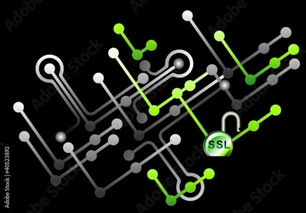 Fototapeta SSL - Security