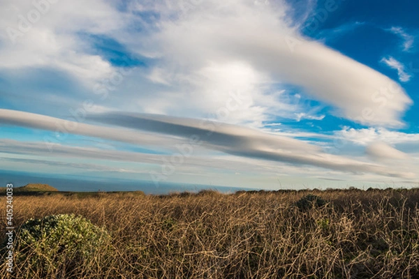 Fototapeta Clouds and dry gras

