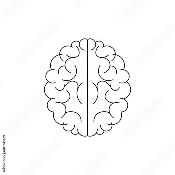 Obraz Brain on a white background, vector illustration	
