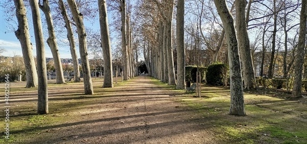 Obraz Palacio real Aranjuez 