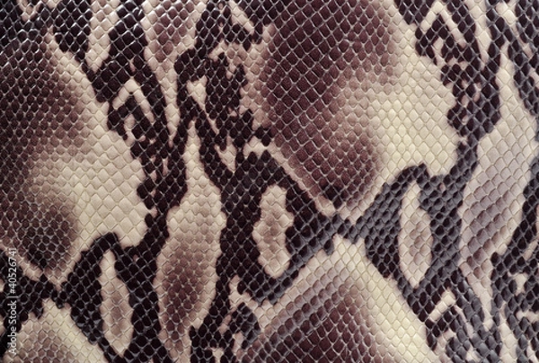 Fototapeta Snakeskin