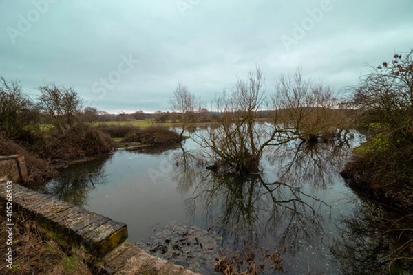 Fototapeta Park in UK walking