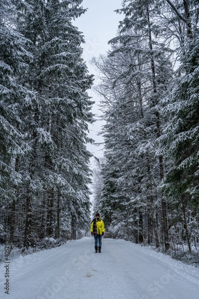 Fototapeta A lonely girl in a yellow jacket on a snowy road going into the distance.