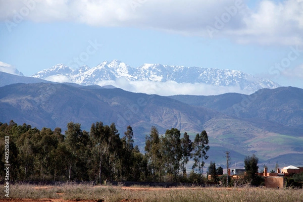 Obraz Atlas mountains with trees