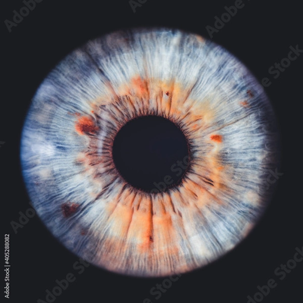 Obraz eye iris