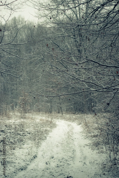 Obraz snow covered road