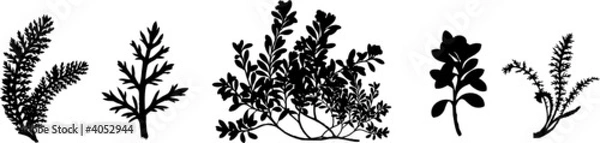 Fototapeta Blätter 5