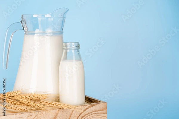Fototapeta  Jug and bottle of fresh milk glass and barley wheat on sackcloth for a background.Raw milk is high in calcium and protein to drink for all ages.Milk consumption nutritious and healthy dairy product