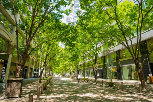 Fototapeta 丸の内中通り