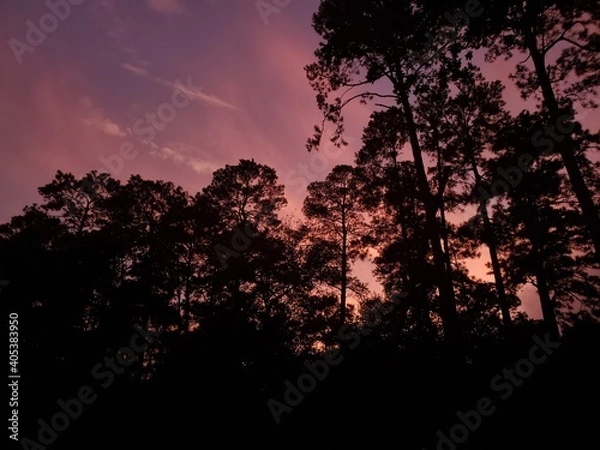 Fototapeta Nightfall