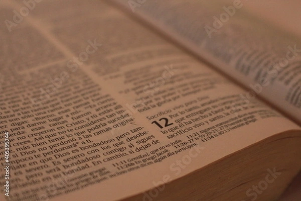 Fototapeta Capitulo 12