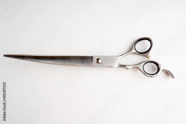 Obraz Dog grooming scissors isolated on light background
