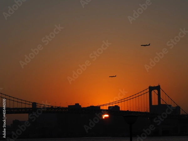 Obraz 東京の夕焼けと飛行機
