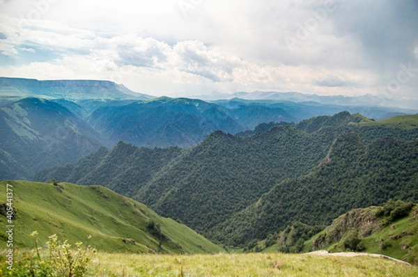 Fototapeta landscape in summer