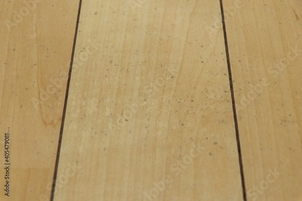 Fototapeta フローリングに生えたカビ