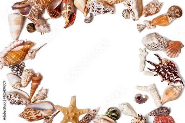 Fototapeta Frame made of seashells and starfishes isolated on a white background. Top view. Text space.