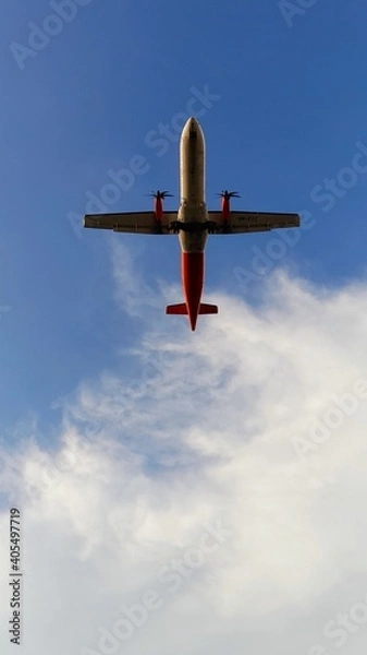 Obraz airplane in flight