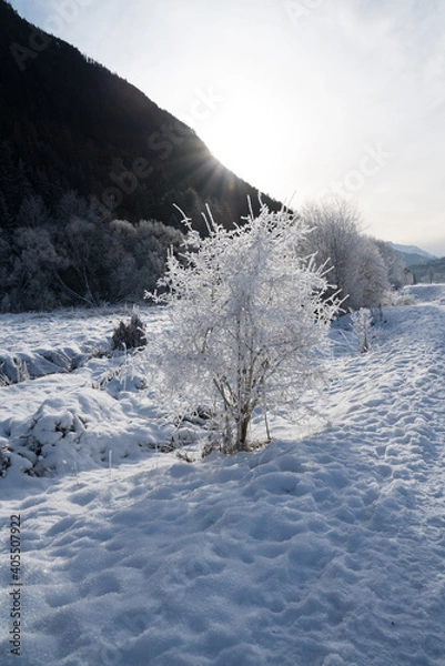 Obraz Winterlandschaft