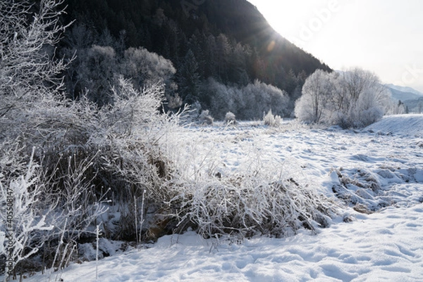Obraz Winterlandschaft