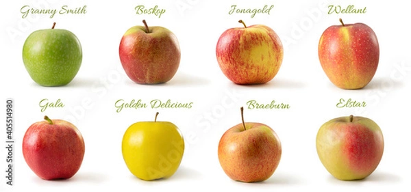 Obraz Apfelsorten Freisteller