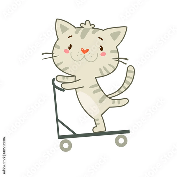 Obraz Mischievous kitten rides a scooter
