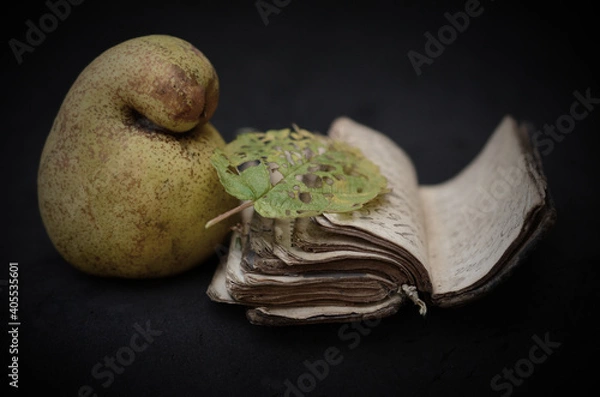Obraz Still life com livro, pera e folha seca