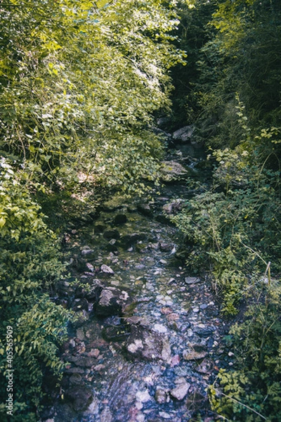 Fototapeta river in the forest surrounded by trees and green bushes in a countryside of catalonia, spain.